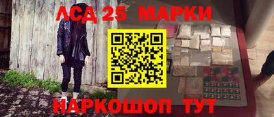 гашик Славгород