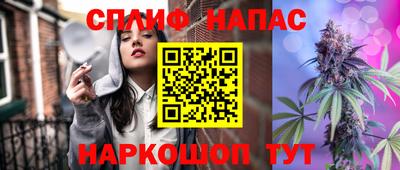гашик Славгород