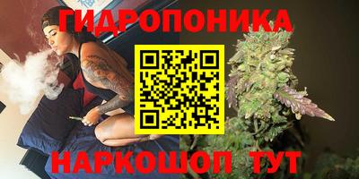 твердый Сланцы