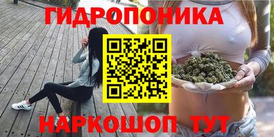 гашик Славгород