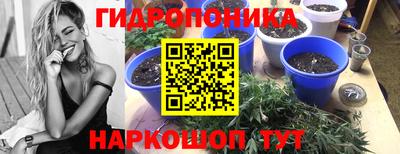 гашик Славгород