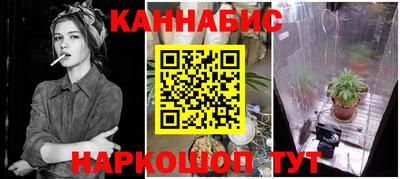 твердый Сланцы
