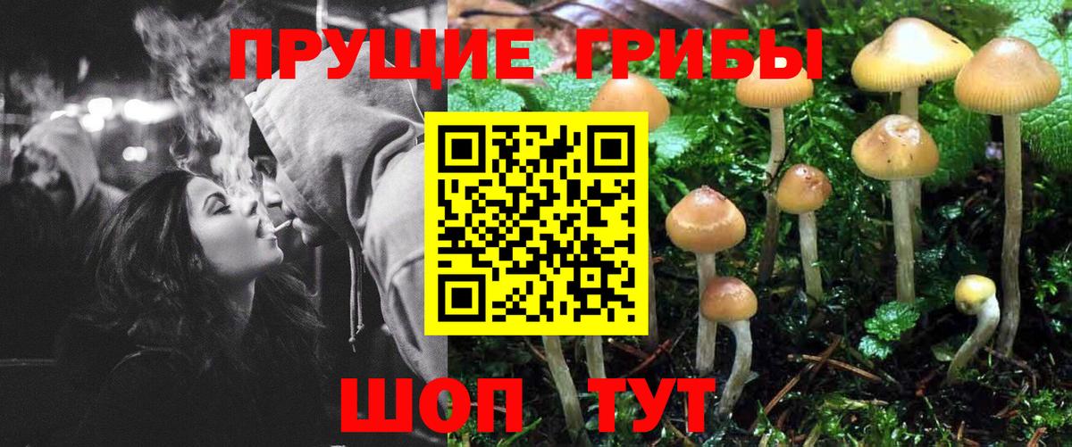 Надым  Псилоцибиновые грибы MAGIC MUSHROOMS  Вход с VPN  Галлюциногенные грибы мицелий 